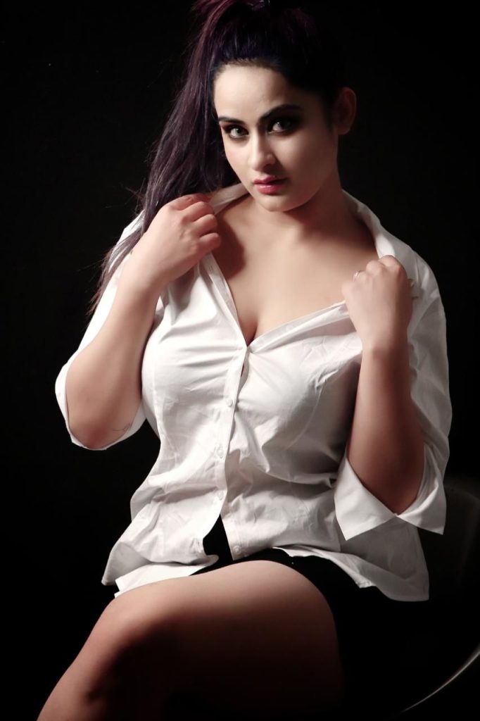 Top-Udaipur-escort-agencies