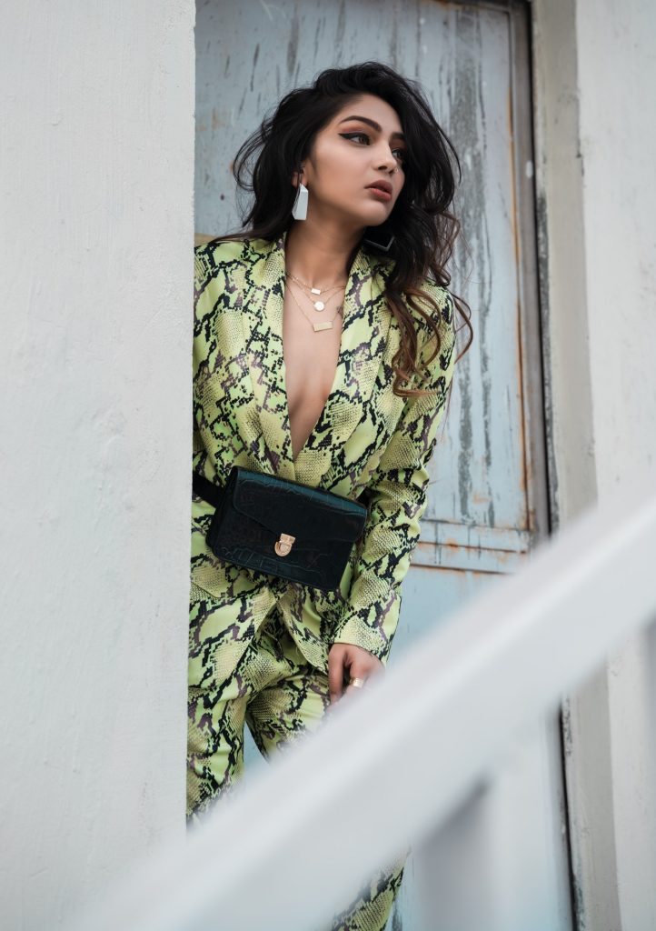 High-profile-Udaipur-escorts